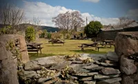 The White Lion Hotel Hotels near Clywedog Riverside Holiday Home Park