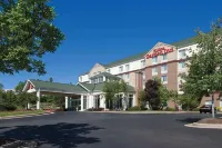 Hilton Garden Inn Cleveland/Twinsburg - piscina
