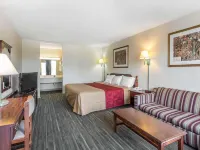 Econo Lodge Hotels in Calhoun