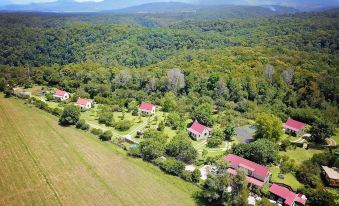 aerial view of a forested area with multiple houses and mountains in the background , surrounded by green fields at Forest Edge