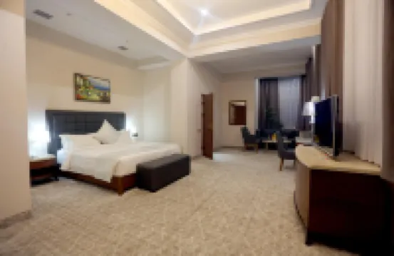 議會宮酒店 酒店