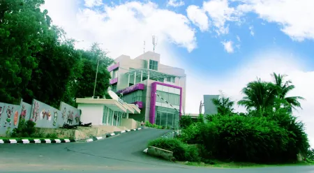 The Belagri Hotel & Convention Отели в г. West Sorong