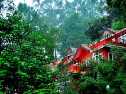 ティー バレー リゾート ムンナルのホテル