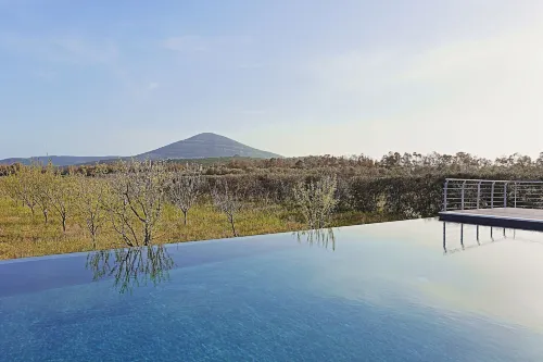 Agriturismo Casale Degli Ulivi Alghero - Homestays