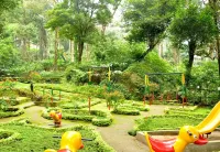 The Tall Trees Hotels in Pallivasal