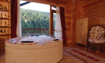 Abant Kartal Yuvasi Hotel
