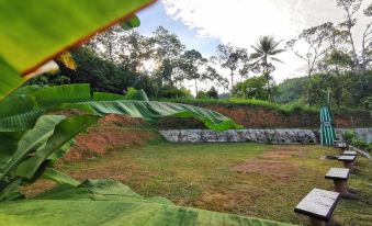 Green Peace Sungai Lembing