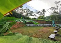 Green Peace Sungai Lembing Hotels in Sungai Lembing