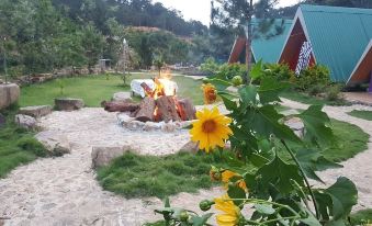 Ankroet Camp Da Lat