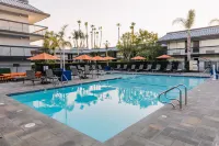 Palm Garden Hotel - Pools