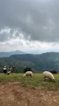 Forest Homestay
