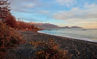 Kaikoura Luxury Apartments - Formerly Waves Luxury Apartments