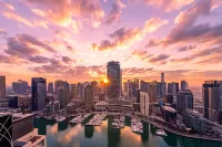 Vida Dubai Marina & Yacht Club - pet friendly