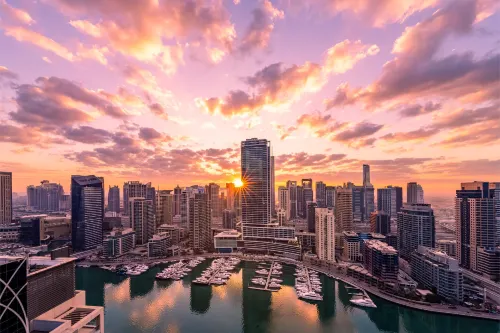 Vida Dubai Marina & Yacht Club - pet friendly