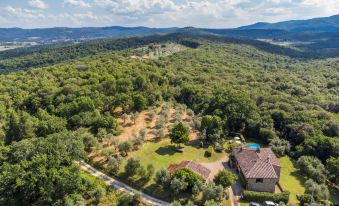 aerial view of a house surrounded by trees , with a car parked in front of it at Il Laghetto