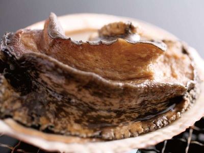 その他 胡蝶蘭の写真