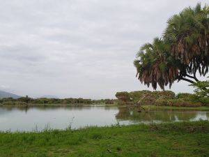 由Isyankisu經營的Makubi Safari營地