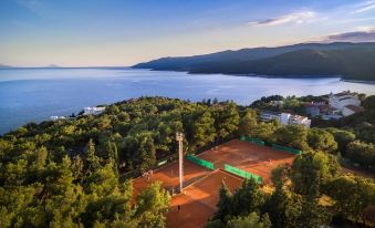 a tennis court is surrounded by trees and overlooks the ocean with a lighthouse in the distance at Valamar Bellevue Resort