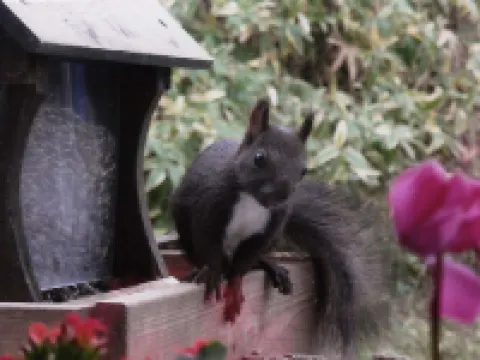 ロッジ シラルトロ 標茶町のホテル