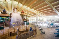 Great Wolf Lodge Grapevine
