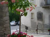 B&B Myosotis Hotels in Sulmona