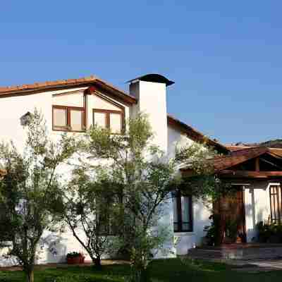 Hotel Boutique Solaz Bella Vista de Colchagua Hotel Exterior