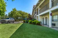 Best Western Plus Inn Scotts Valley - Pet friendly