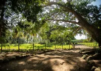 Gardenia Springs Hotels near Valencia Brook's Waterfalls