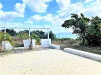 Ie Islandmonkey