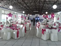 Hotel Diana del Bosque by DOT Urban