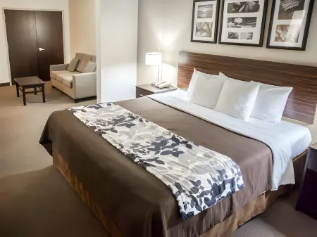 Sleep Inn & Suites Indoor Waterpark