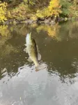 Chillin' By The River