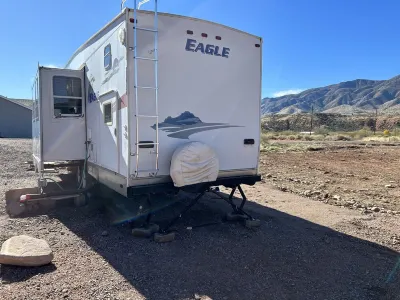 The Eagle Perched at Roosevelt Lake