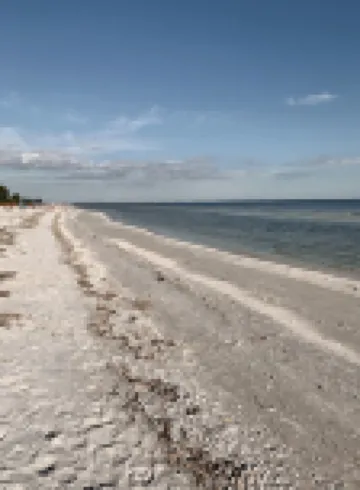 The Palm Lodge @ Loggerhead Cay 🐚 Beachside Accommodations 🐚 Pool & Pickleball