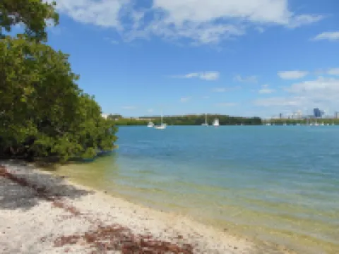 Miami Paradise with Pool Near Haulover Beach and  Aventura Mall. Hotels in North Miami