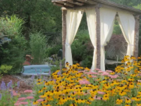 Beautiful Gardens, Outdoor Shower, Hot Tub, Steam Sauna, Cold plunge pool.