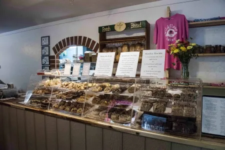 Luxury Treehouse 20 miles from asheville.