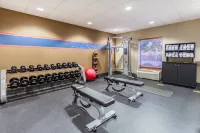Hampton Inn & Suites Chicago-Libertyville - Træningscentre