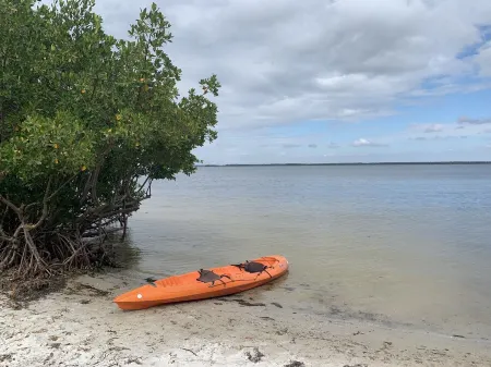 Island Home within the Pines and Palms; Kayaks, Bikes, and Inviting Porches~