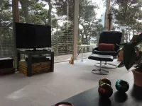 Tree Top Glass House - Hi House