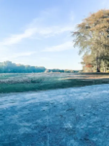 Country, hideaway cabin close to town, 15 minutes from wineries