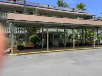Poolside Cozy 1br, 1Qbed plus 1QSofa bed, Med refrig, sm kitchen,2min to Ocean