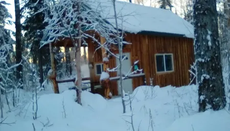 One bedroom cabin with inside toilet and stand up loft.  PET FRIENDLY! Отели в г. Матануска-Суситна