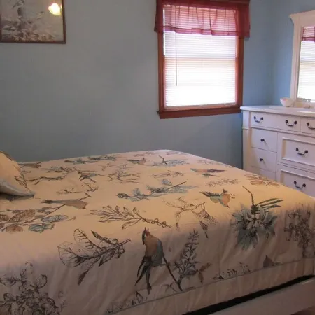 2 miles from NB State Park, James River,  hiking trails and trout fishing!