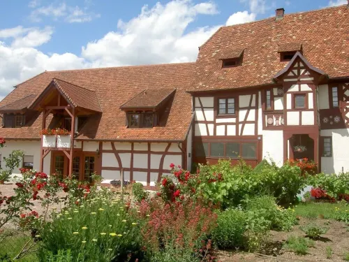 Vacation apartment with 50 square meters - at Gästehaus Kunz in Rust