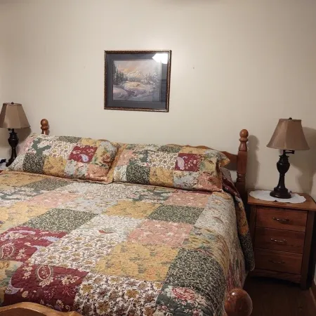 3-Bedroom 3-Bath Cabin 6 Minute Drive to Harrah's Casino - 1 GIG Internet