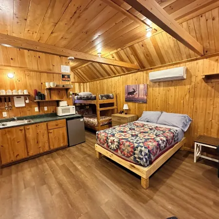 Northern Maine Cabin - Trails - WiFi - AC