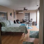 A Hidden Treasure: Spacious Studio with Private Entrance. Guests Hate to Leave.