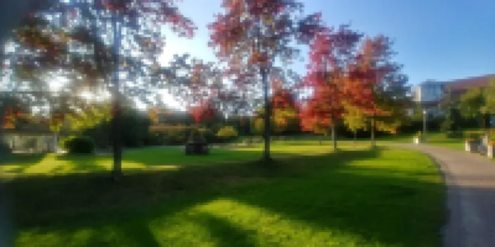 Apartment View Hahnenklee