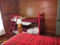 Cozy rural cabin near Texas A&M University